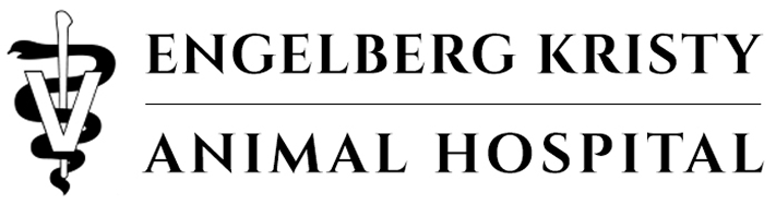 Engelberg Kristy Animal Hospital